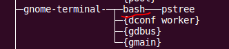 gnome-terminal进程启动bash